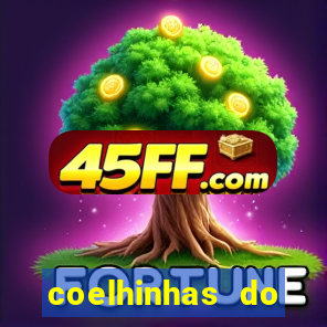 coelhinhas do brasil jp